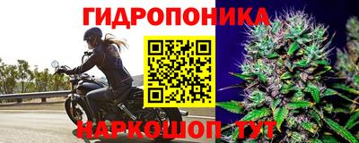 метамфетамин Кингисепп